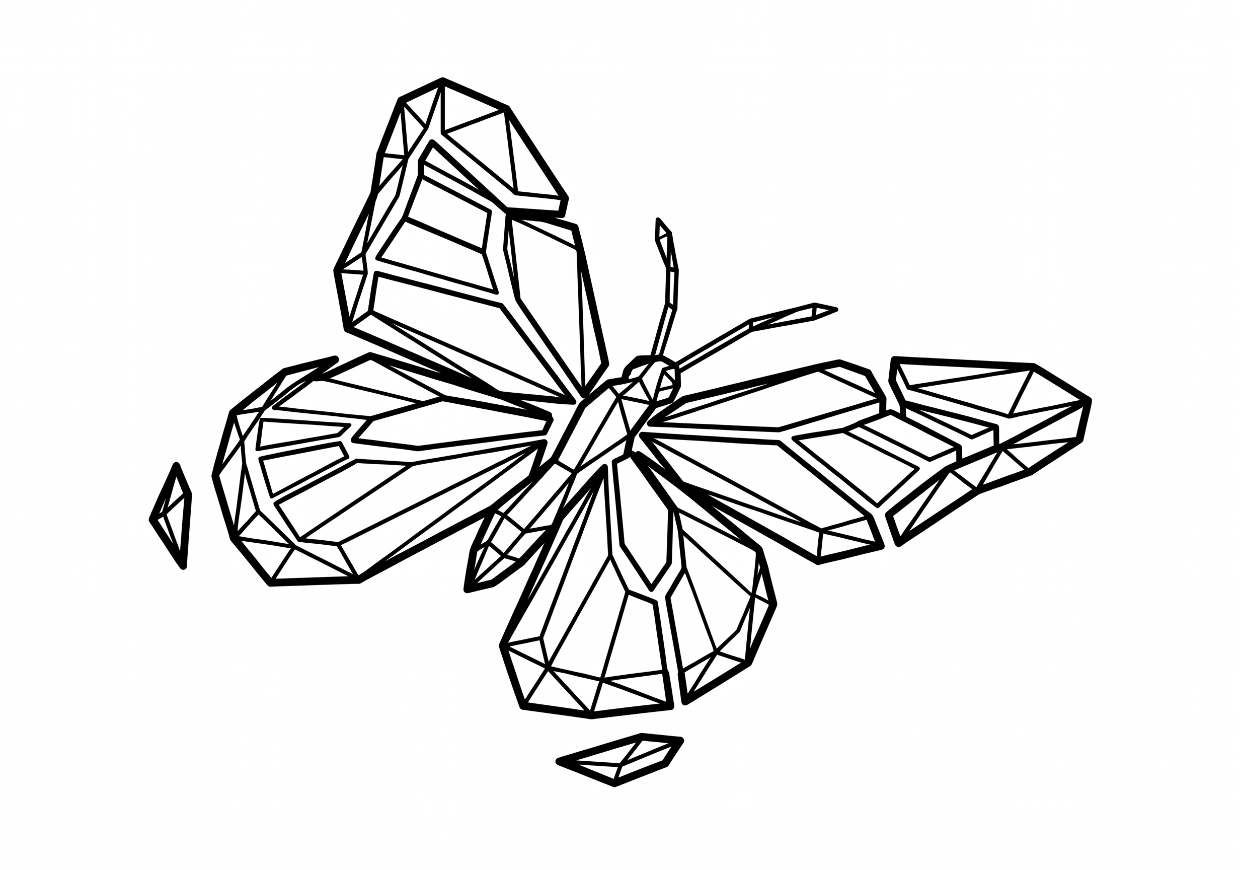 BTFL Concept